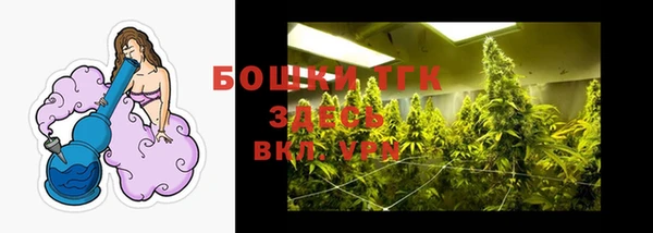 тгк Абинск